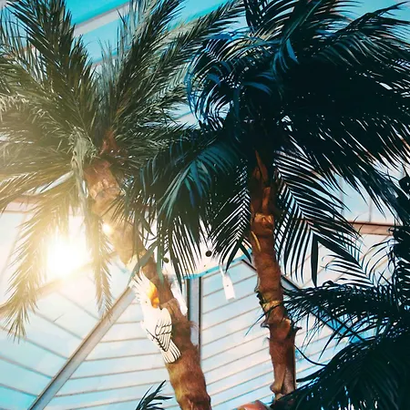 Thegreatnorth - Holstentherme