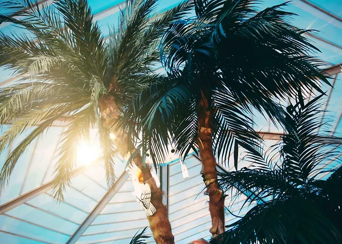 Thegreatnorth - Holstentherme